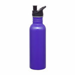 D534-Carnival-Water-Bottle-Purple