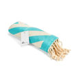ZTQ01-Zig-Zag-Turquoise-Main