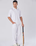 PS29-Cricket-Polo-Short-Sleeve-Men's-Model