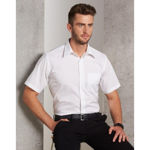 BS08S-Men's-Telfon-Executive-Short-Sleeve-Shirt-Model