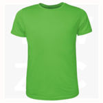CT1420-Mens-Brushed-Tee-Shirt-Lime
