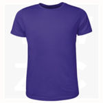 CT1420-Mens-Brushed-Tee-Shirt-Purple