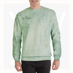 GB1545-Adult-Color-Blast-Crewneck-Sweatshirt-Fern