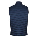 AP1523-Snowy-Mens-Vest-Navy-Back